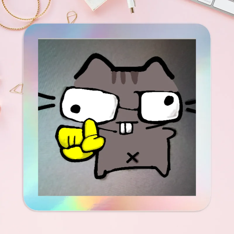 Custom cat Holographic Stickers