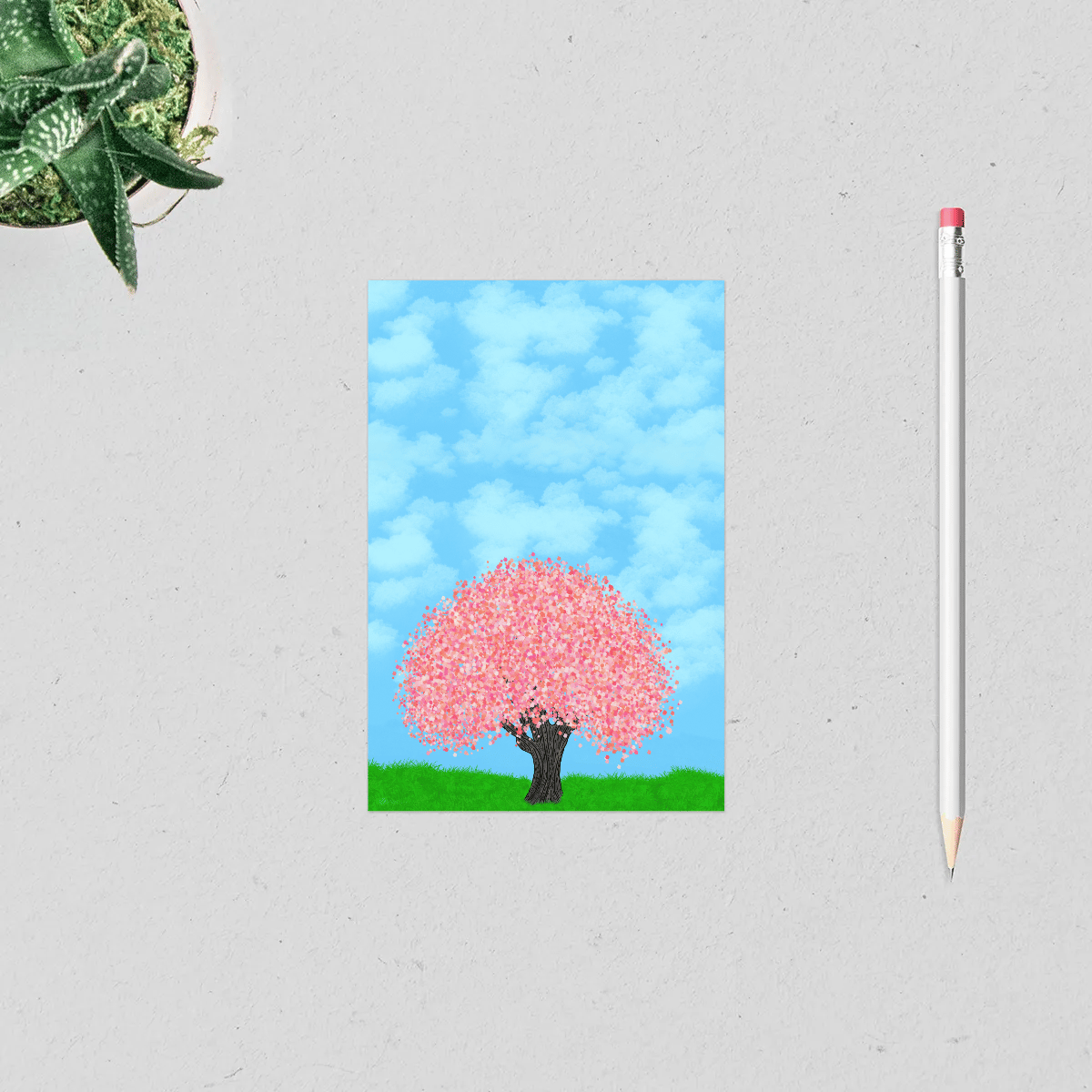 Cherry blossom Post Card
