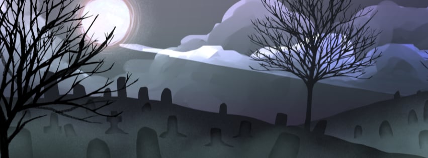 Banner 1