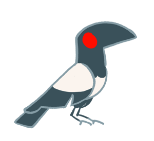 Magpie