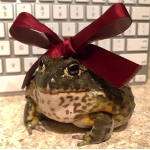 Thetinyruby