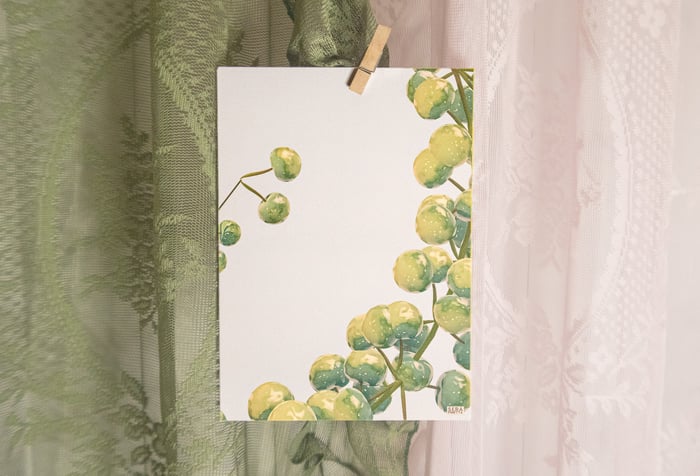 vintage grapes (A5 poster)