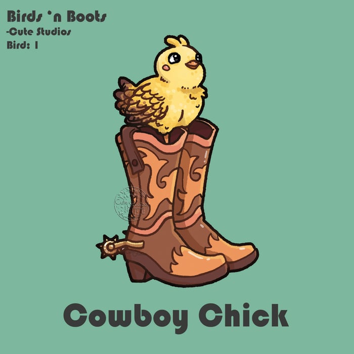 B01 Cowboy Chick Vinyl Stickers x5