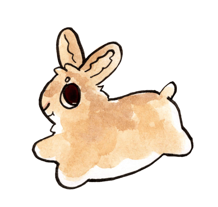 bunnies