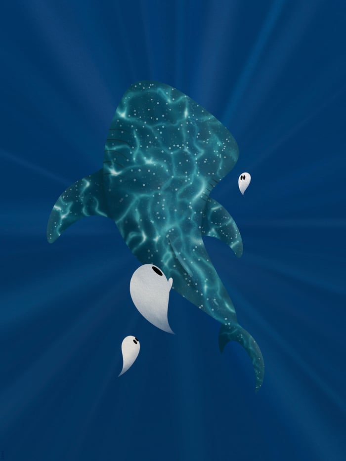 Whale Shark Print