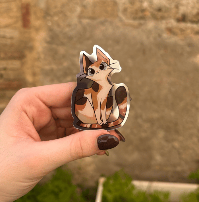 Cat | Pin