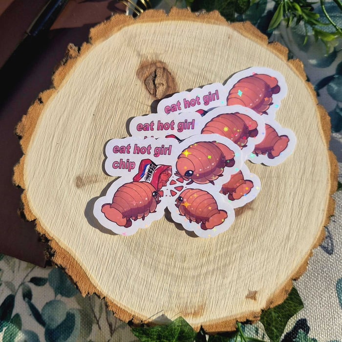 Custom Vinyl Holographic Stickers (x5)