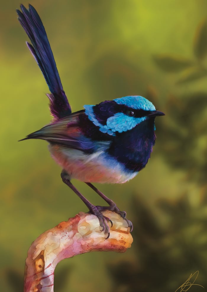 Wren
