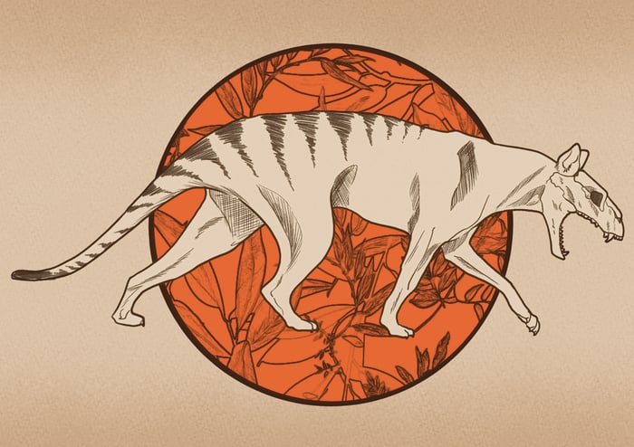 Thylacine