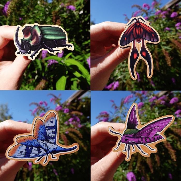 Insects
