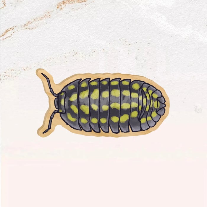 Pins