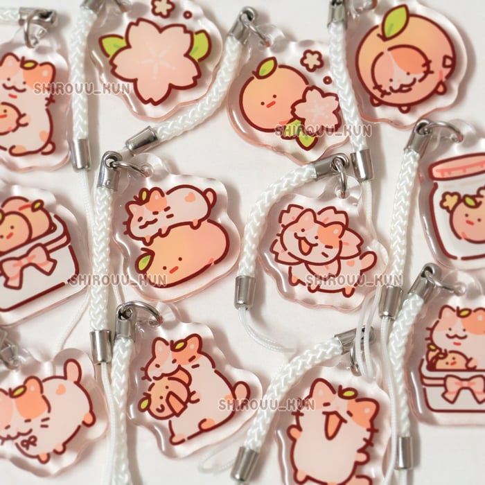 ˖ ⊹ paesh cat keychains ⊹ ˖