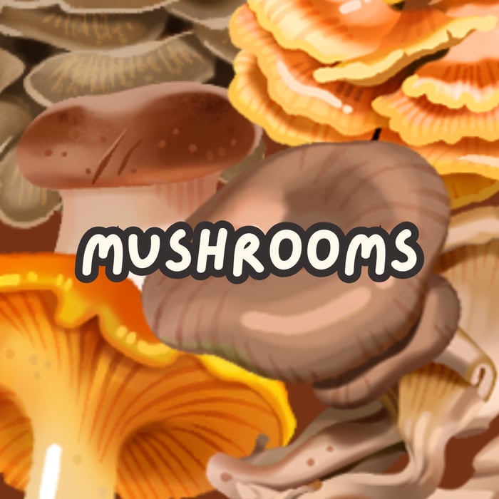 acrylic mushroom magnets