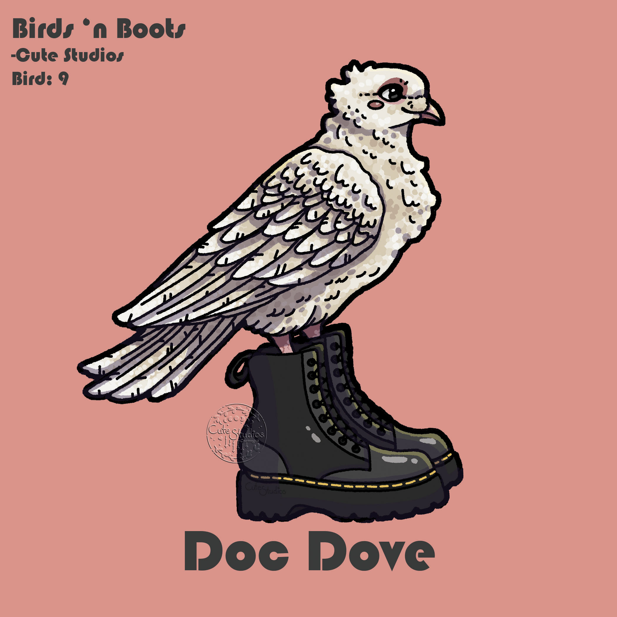 B09 Doc Dove