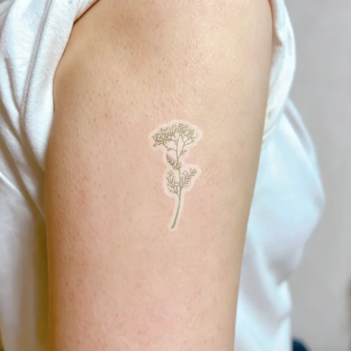 T05 Gypsophila Temporary Tattoo