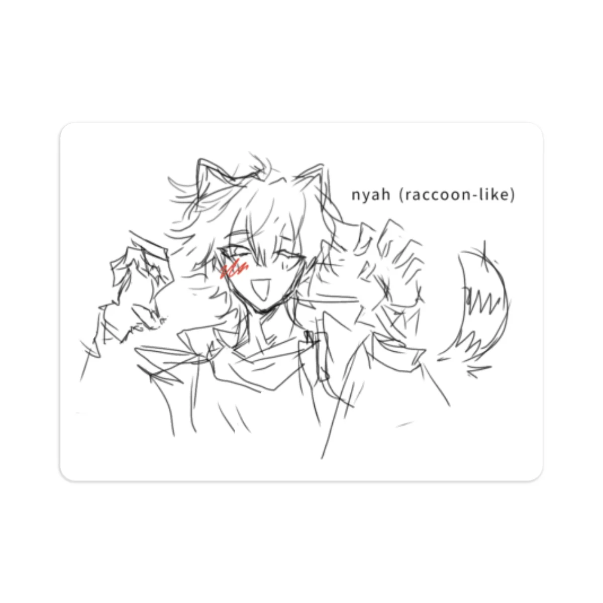 raccoon caelus