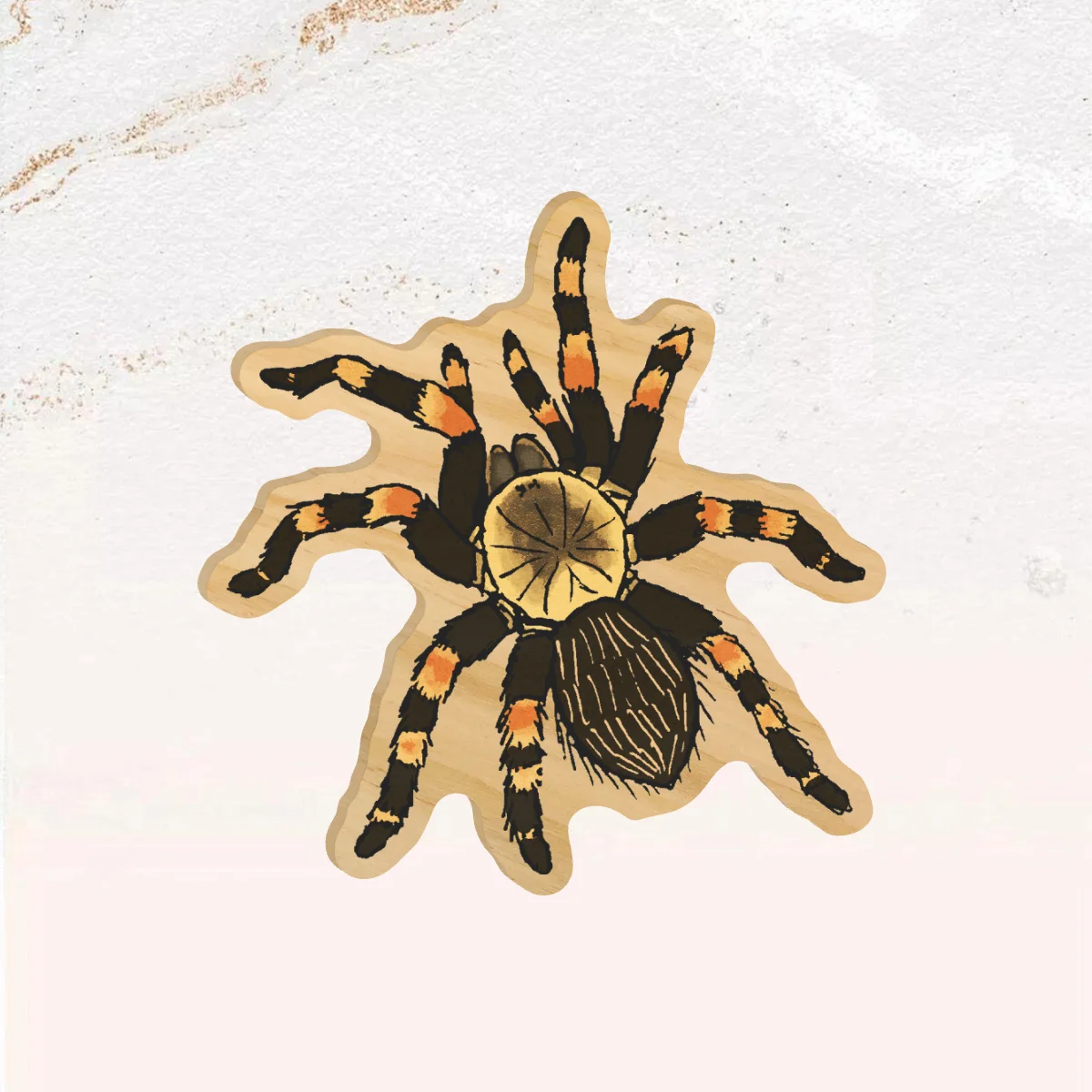 Mexican Redknee Tarantula Wooden Pin