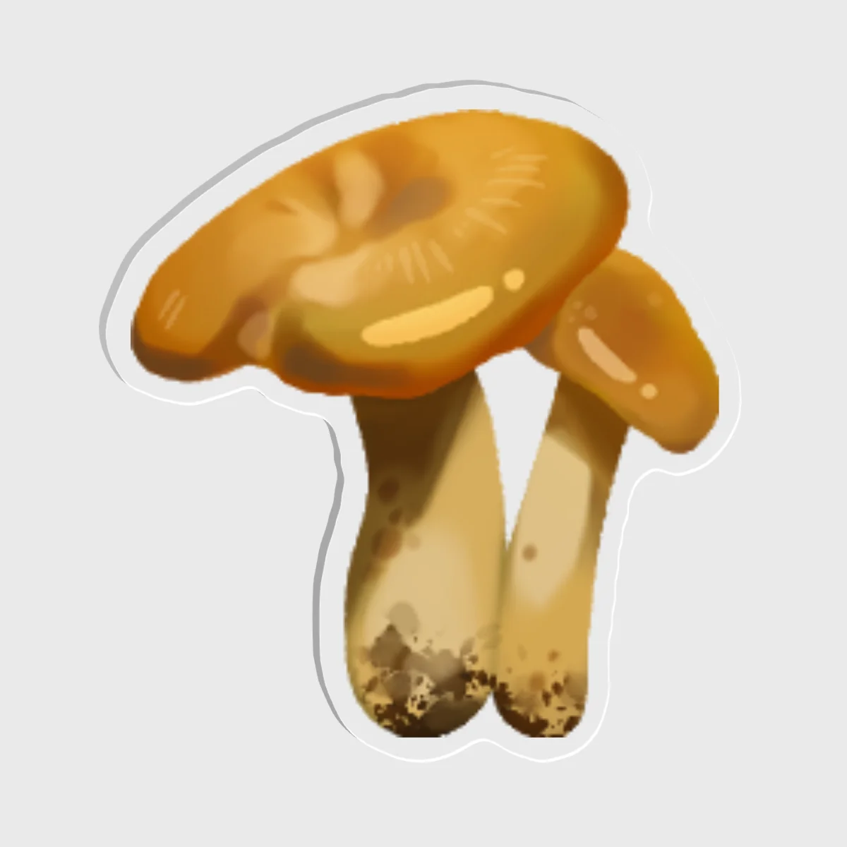 Honey Mushroom Magnet